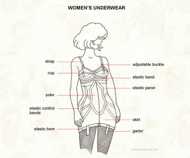 Read more about the article Undergarments Uncovered