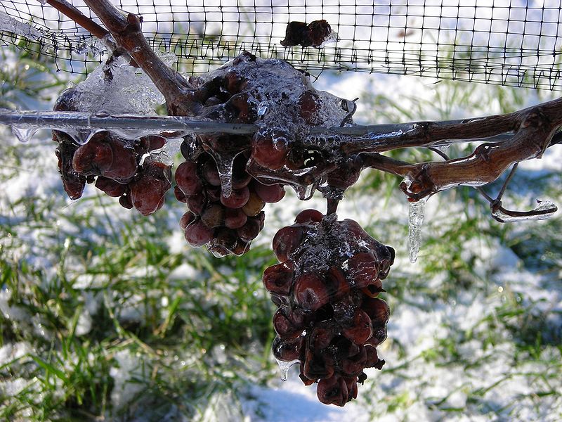 NiagaraIceWine