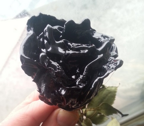 Read more about the article Black Roses For Valentine's Day