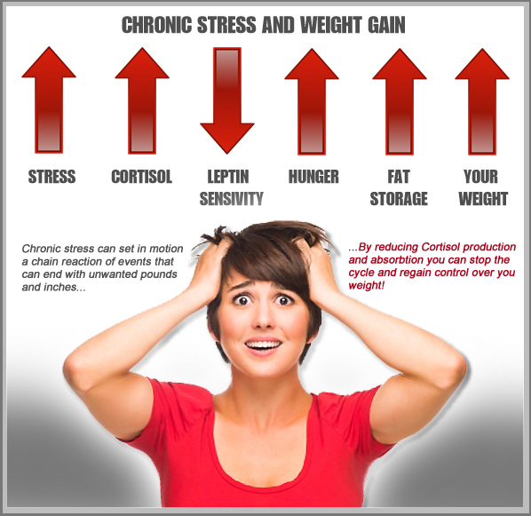 cortisol-chart2-copy