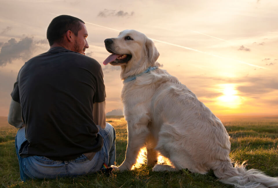 Read more about the article Straying Into A Better 2016 With Life Lessons From Your Pooch