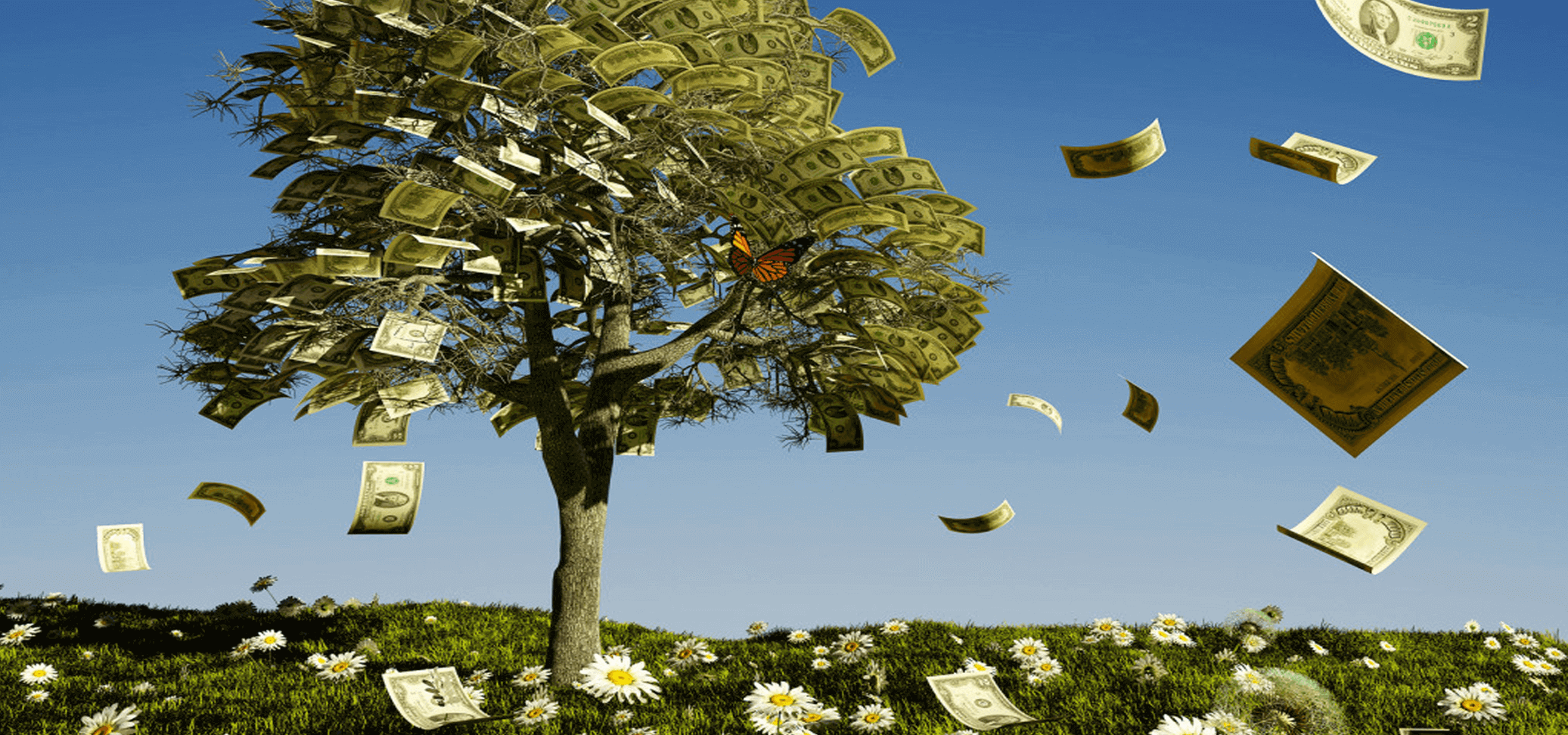 Read more about the article Money Does Grow On Trees
