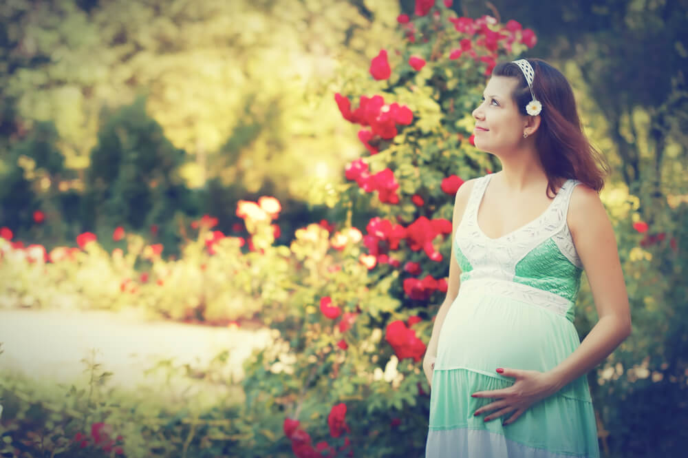 Read more about the article Infertility To Fertility: The Metaphoric Garden