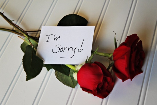 Read more about the article How To Say Sorry