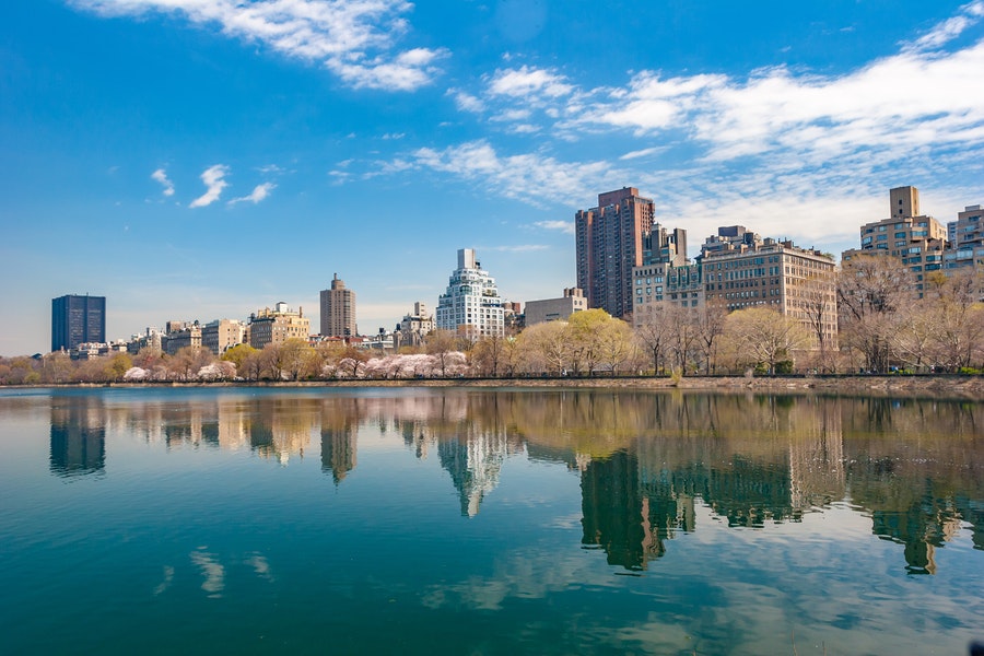 Read more about the article Finding Inner Peace in New York City