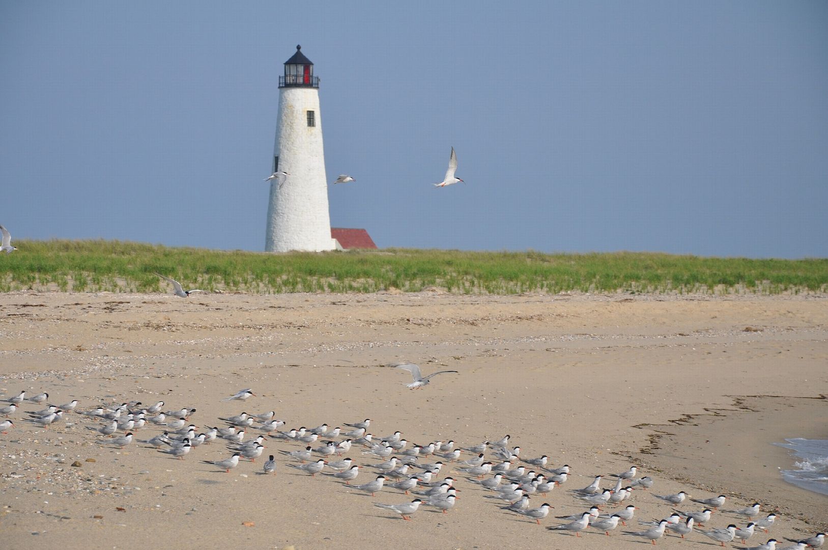 American Beaches