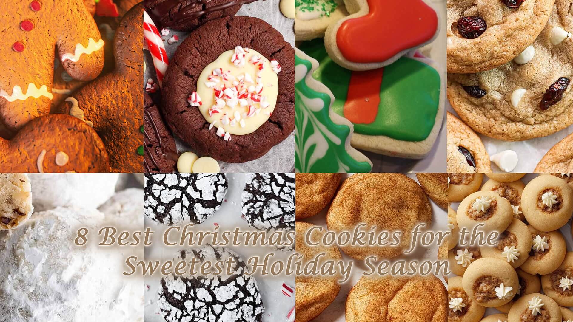 Read more about the article 8 Best Christmas Cookies for the Sweetest Holiday Season