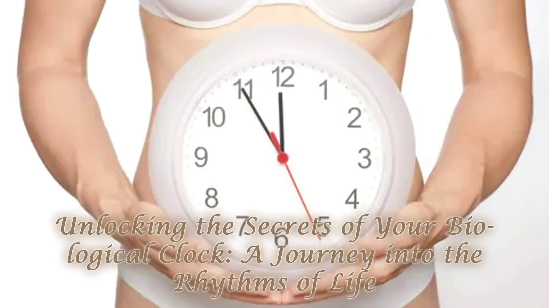 Read more about the article Unlocking the Secrets of Your Biological Clock: A Journey into the Rhythms of Life