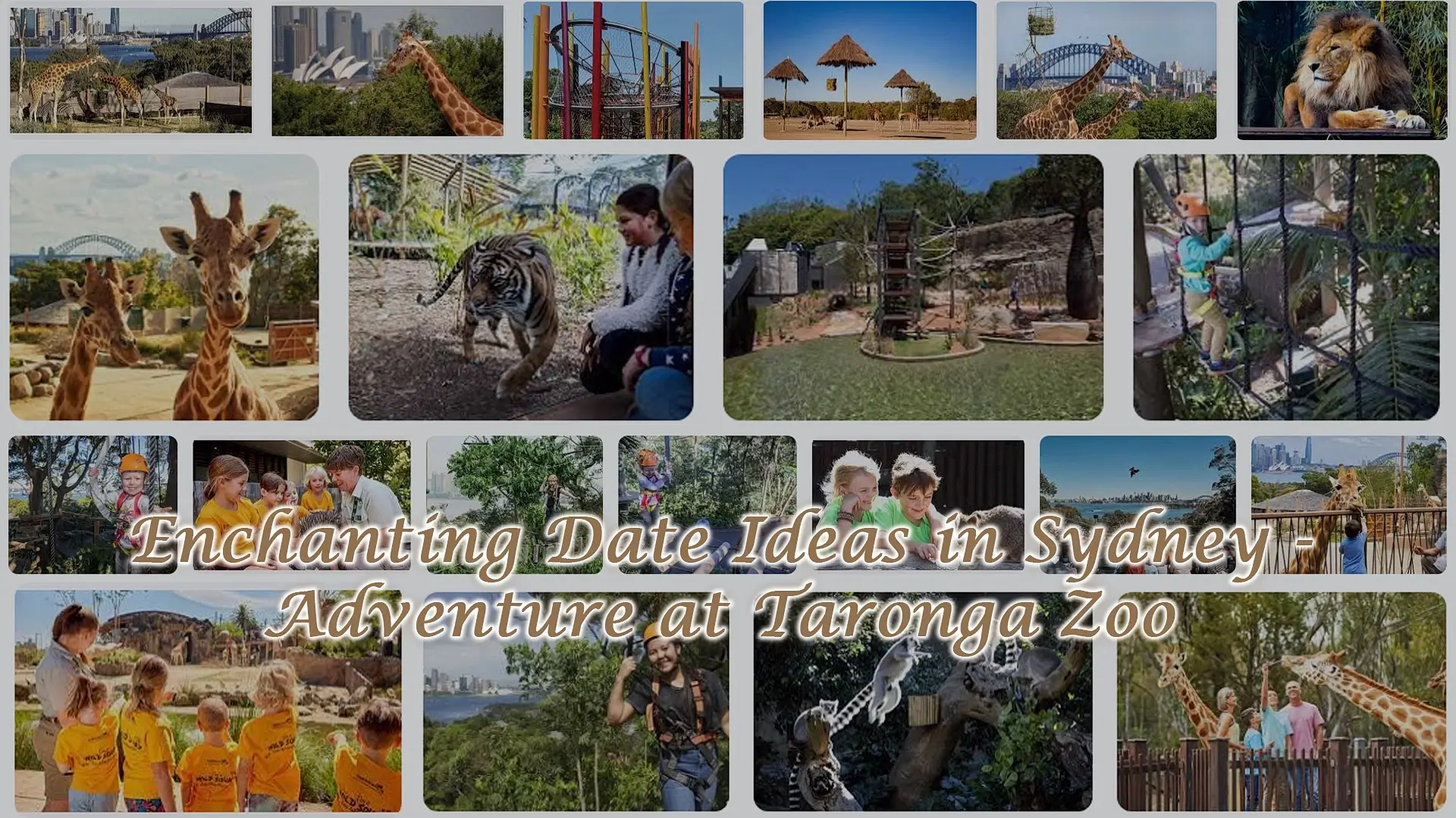 Enchanting Date Ideas in Sydney - Adventure at Taronga Zoo